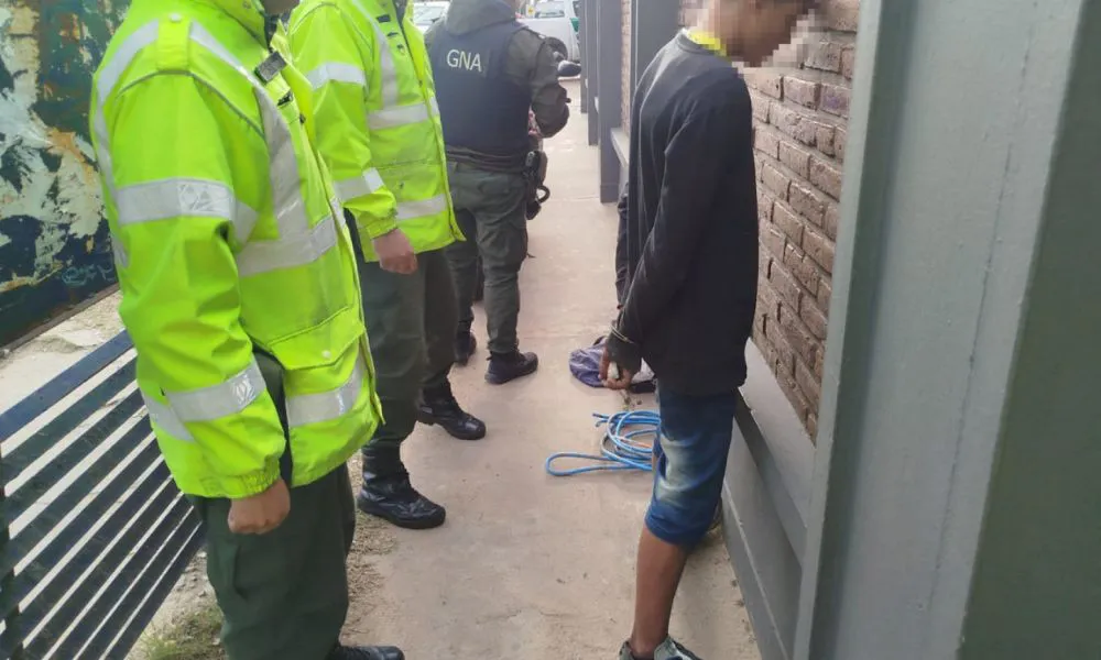 Detuvieron a un joven que cortaba cables en la Panamericana