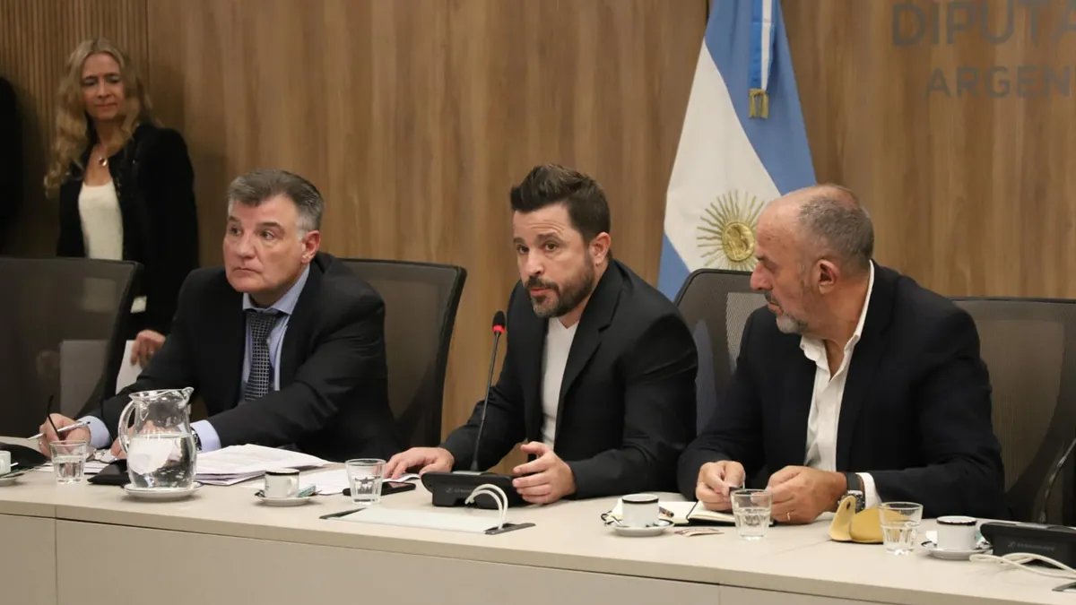 Martín Tetáz, Presidente de la comisión de legislación de trabajo