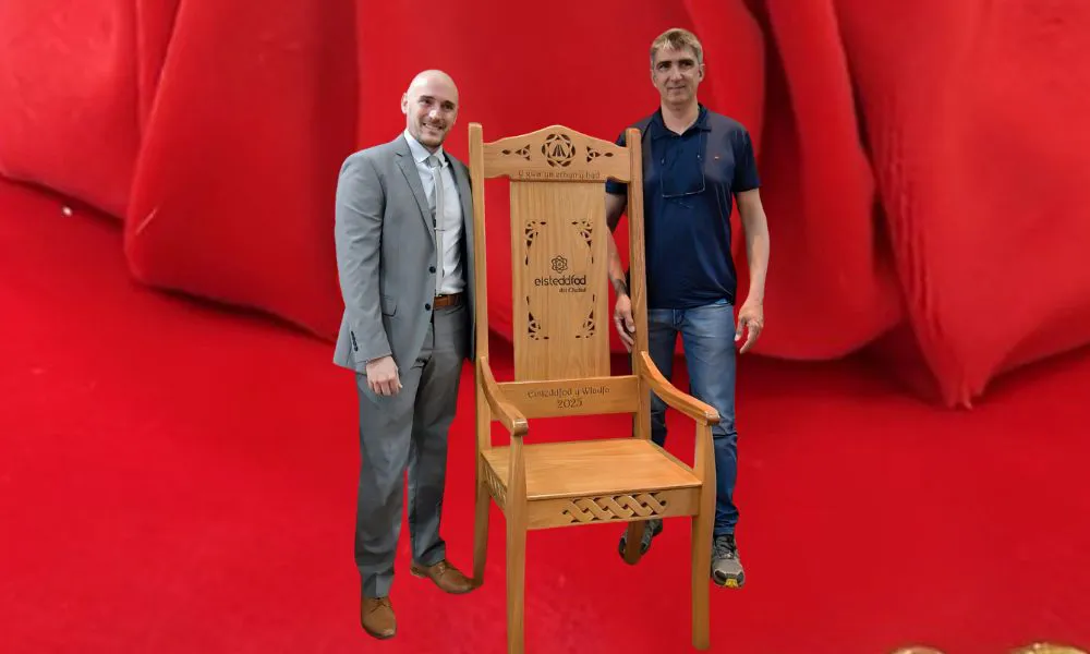 SILLÓN BÁRDICO 2025
