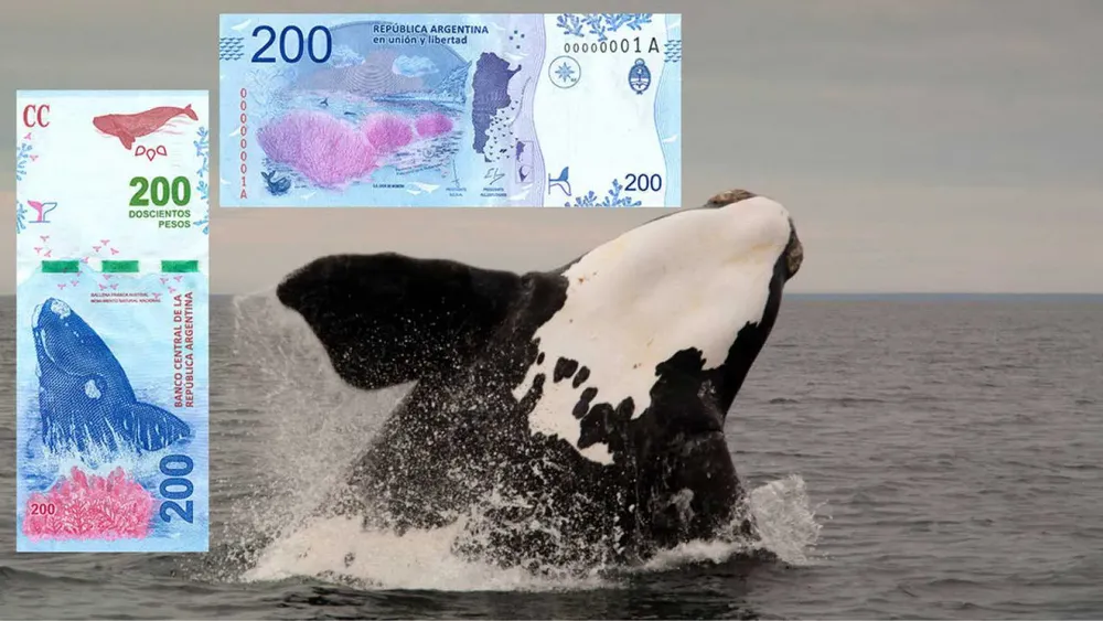 FRANCA BILLETE