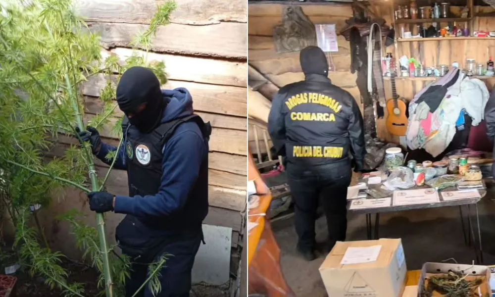 Operativo Huella Verde