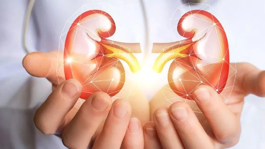 Cáncer de riñón