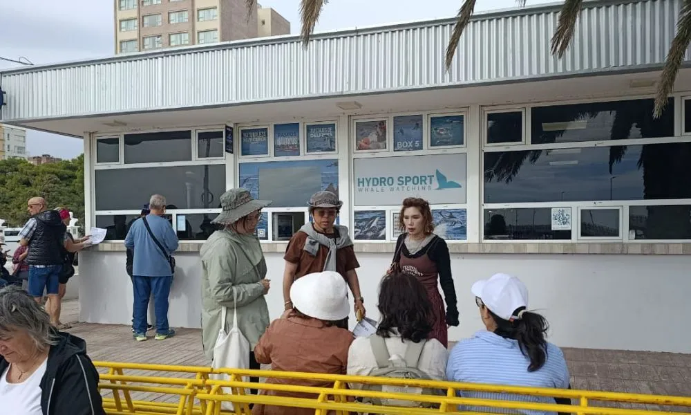 Turistas de cruceros en Puerto Madryn 6