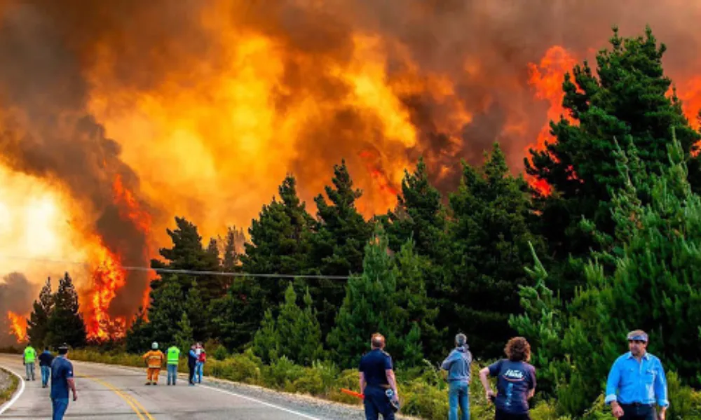 Incendios Forestales