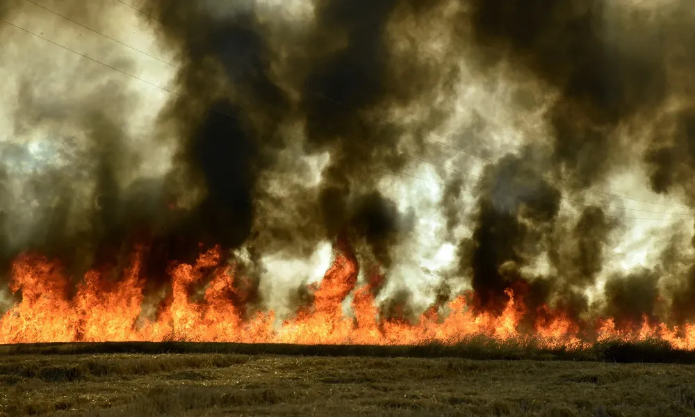 Incendios en Chile