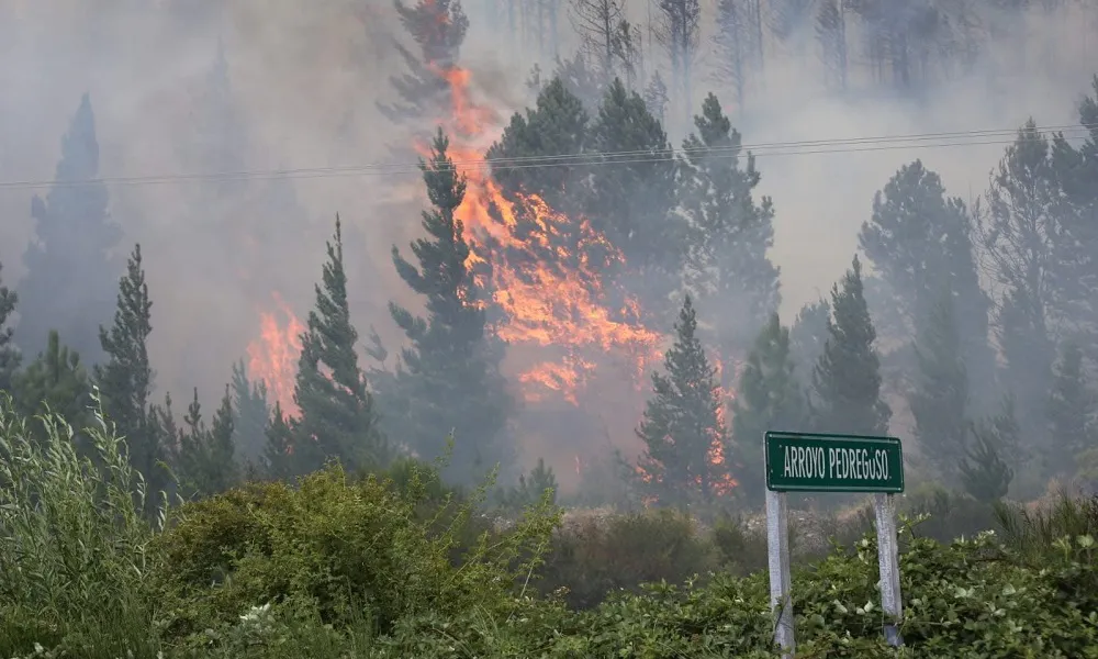 Incendio Epuyén1