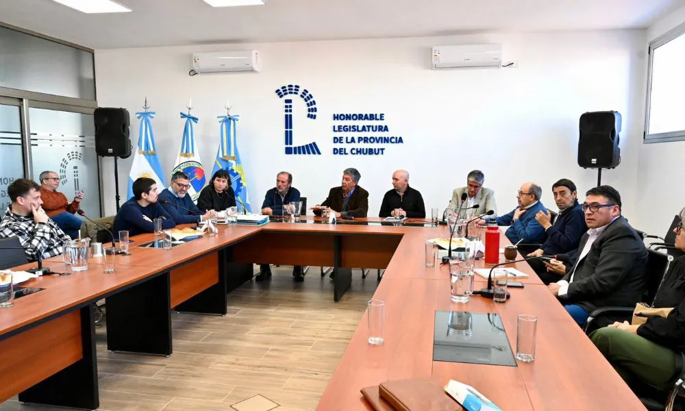 Presentación del modelo ovino mixto