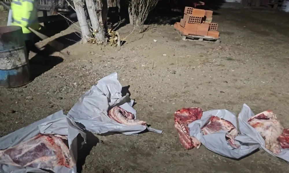 Carne sin control en Comodoro