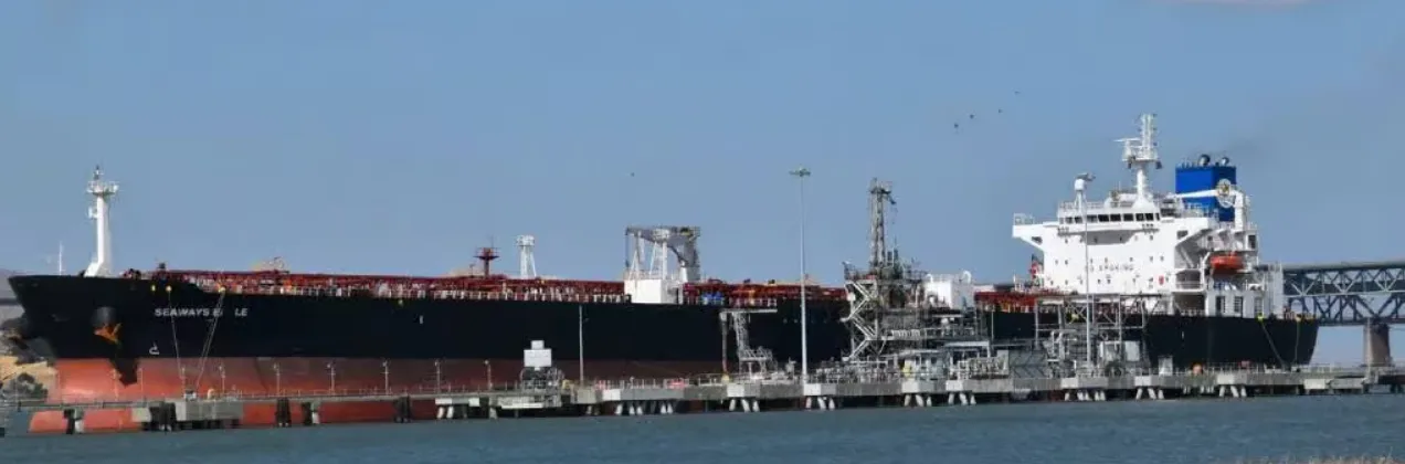 exporta petroleo