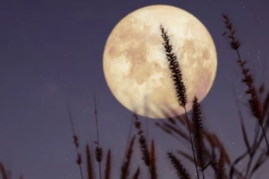 Lunas 2026