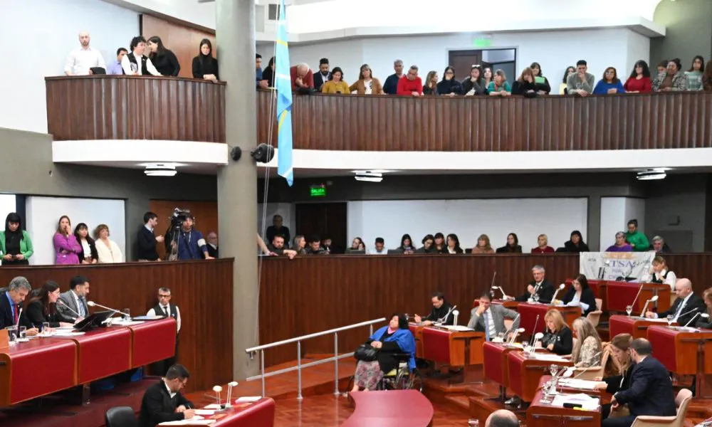 Jóvenes por la democracia en la Legislatura del Chubut