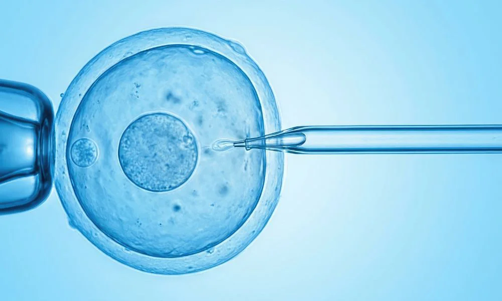 Fertilización asistida. Foto Magnific