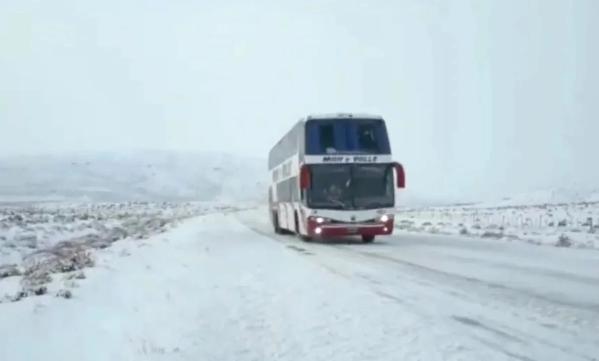 micro nieve
