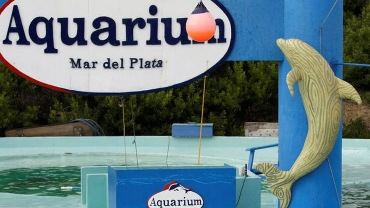 Cierre del Aquiarium de Mar del Plata