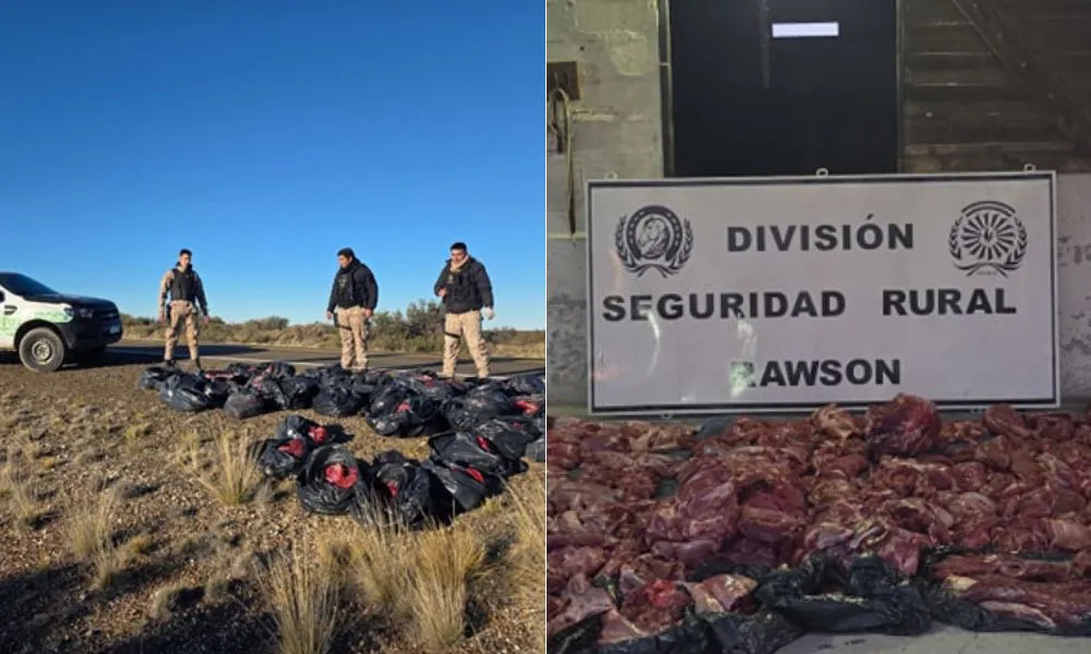 Secuestran carne de guanaco camino a Punta Tombo
