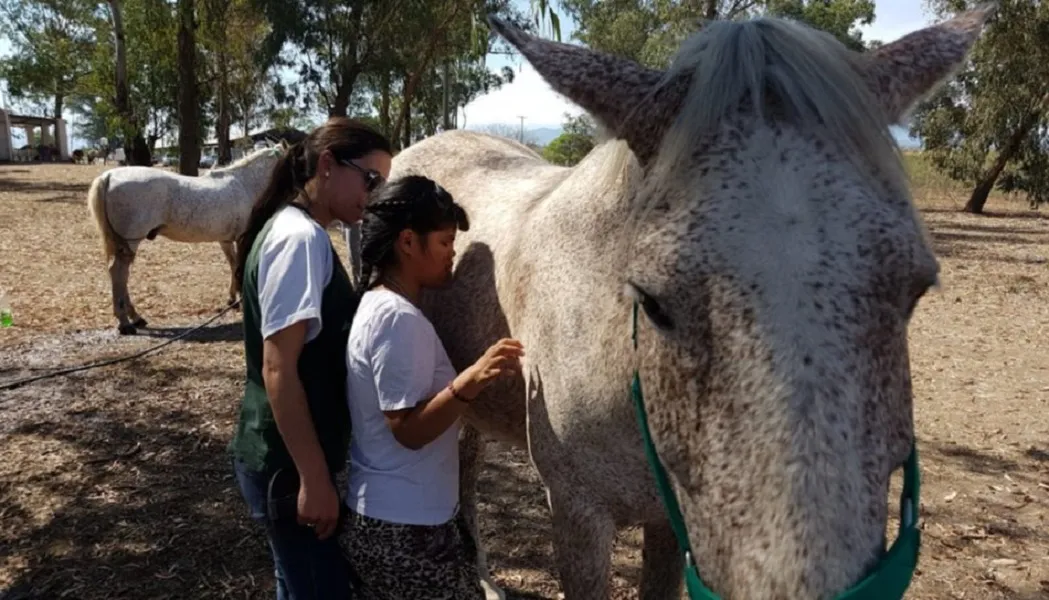 equinoterapia