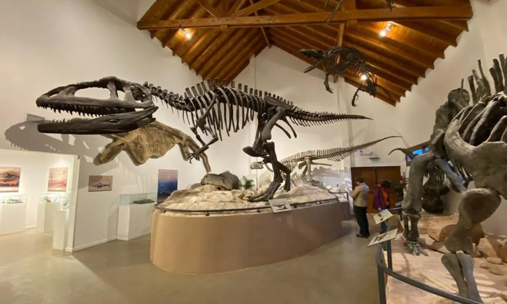 Museo de Historia Natual en San Martín de los Andes