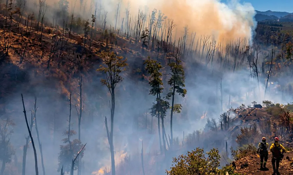 Incendio en El Turbio imagen reeditada por LA17