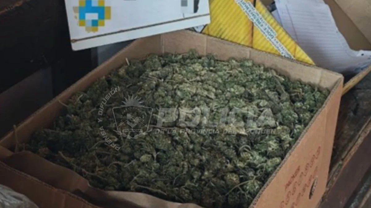 Secuestran drogas y armas