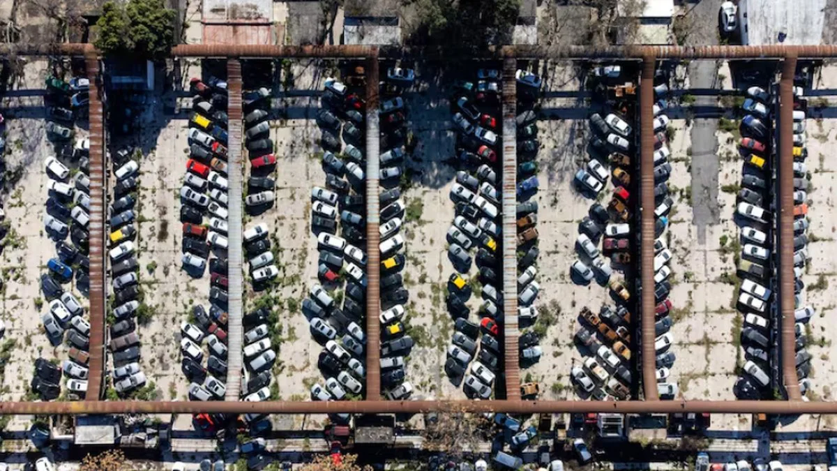 El mercado de Liniers hoy FOTO Bichos de Campo