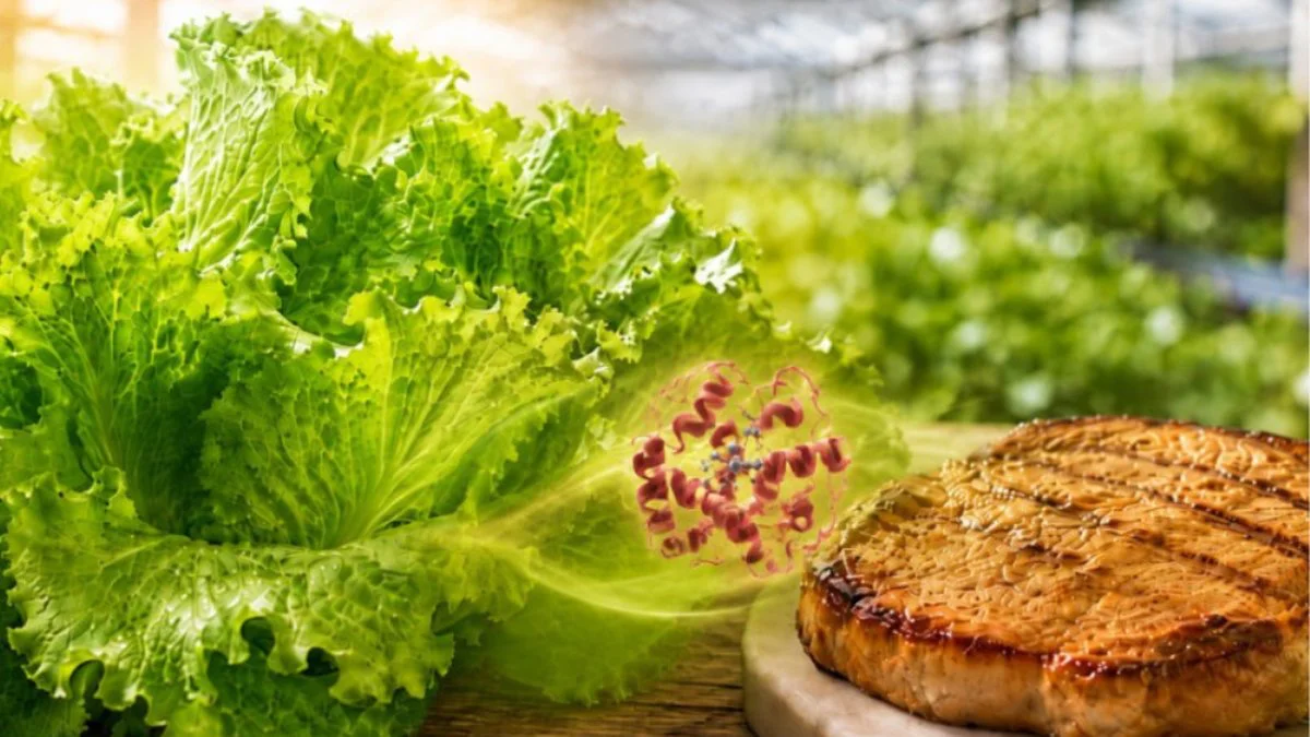 Imágen AgroAvances