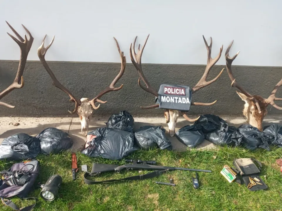 Policía- incautan carne de ciervo-1