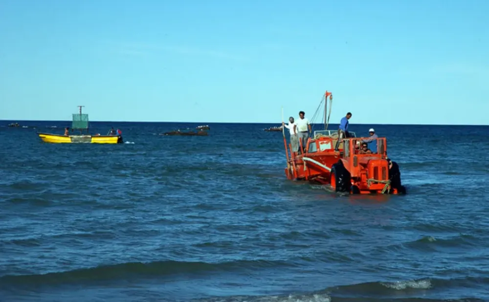 Pesca artesanal