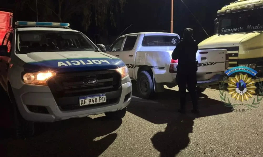 camioneta detenida con guanacos faenados