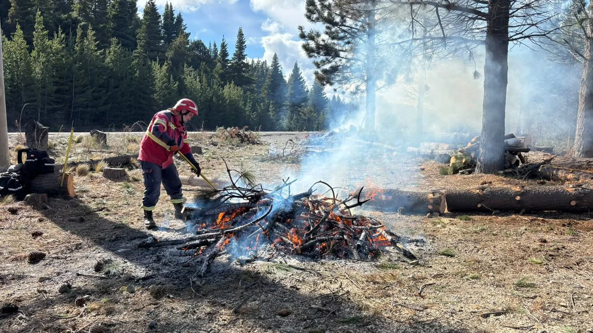 Trabajos preventivos de incedios forestales en Chubut
