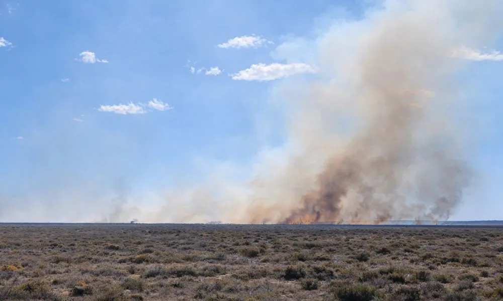 Incendio en la zona sur de Madryn