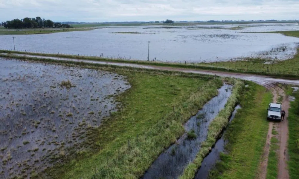 Emergencia agropecuaria (Foto: Revista Chacra)