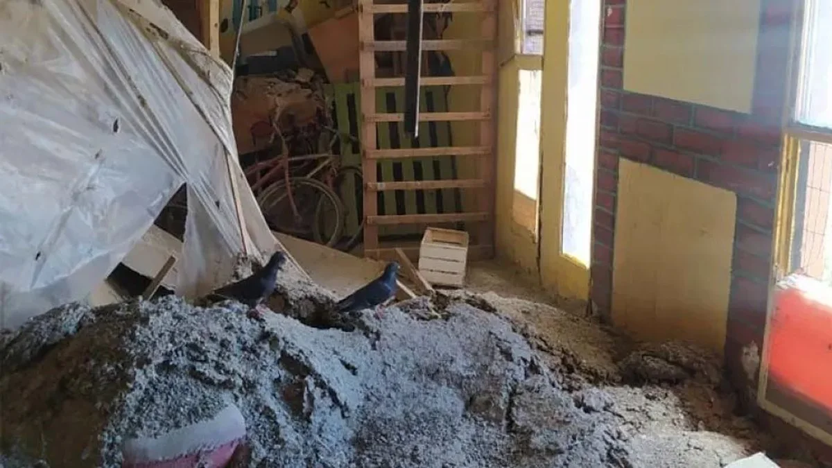 Caída del techo de una vivienda por acumulación de excremento y nidos de palomas. Foto El Cordillerano