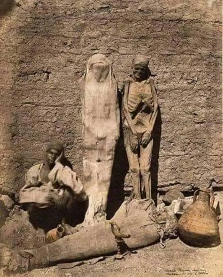 Polvo de momias para la juventud eterna