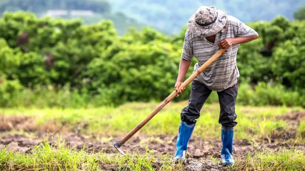 Trabajadores rurales