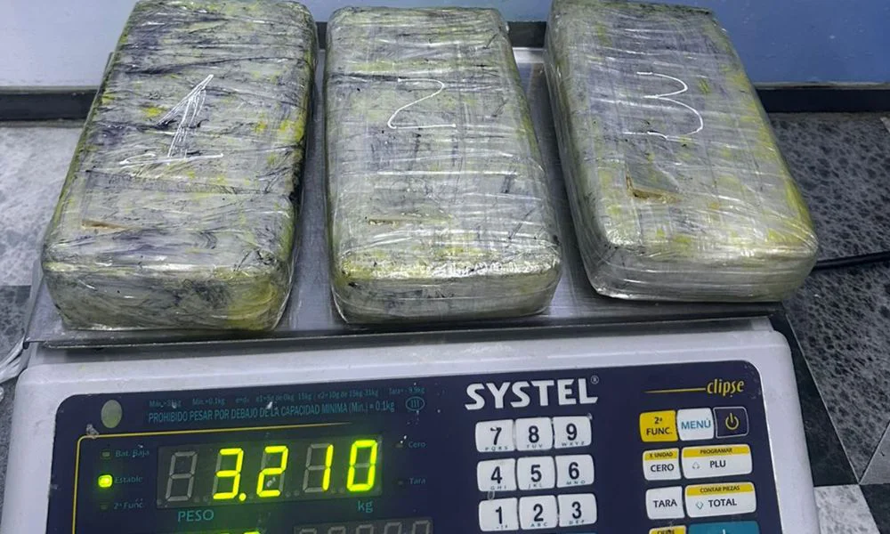 Cayó una mujer con 3,2 kilos de cocaína en la Terminal