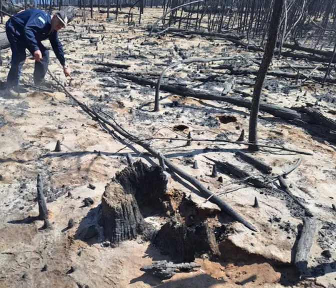 incendio lugar