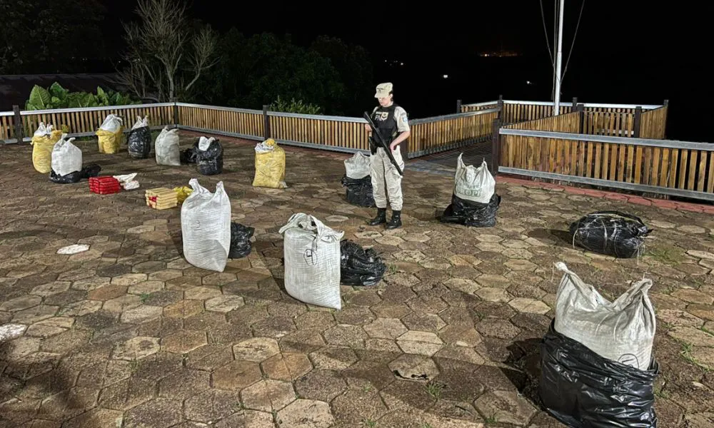 Incautaron más de 55 kilos de marihuana en dos operativos sobre el río Paraná