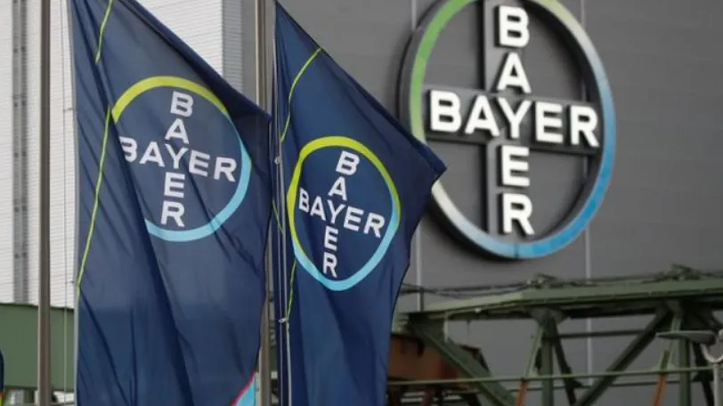 bayer multa