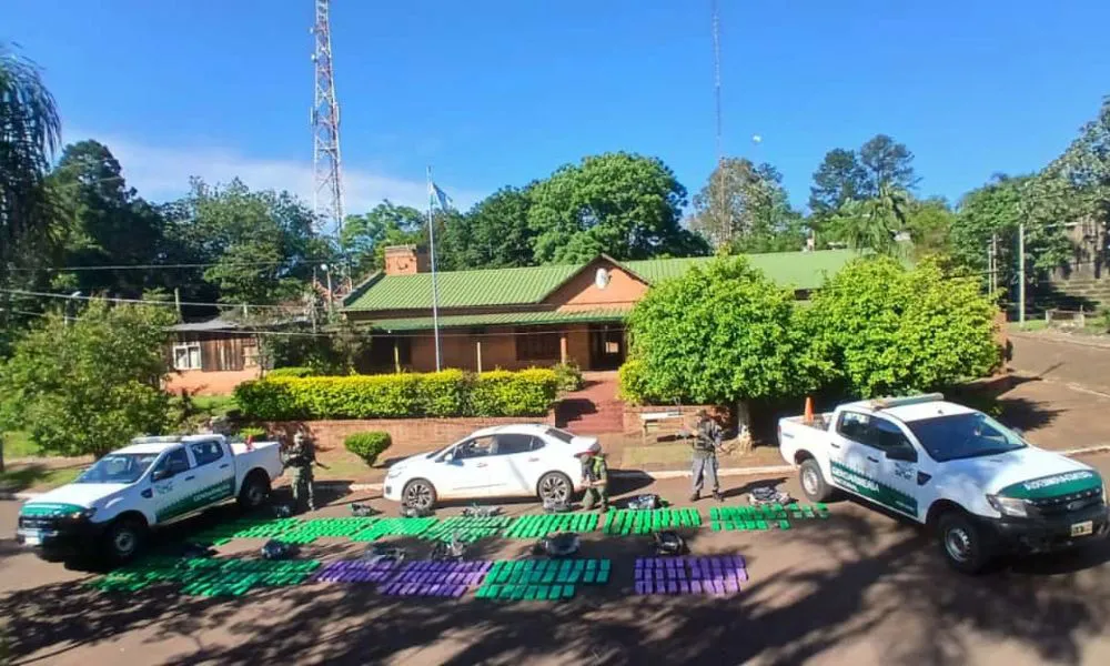 Gendarmes secuestran casi 300 kilos de marihuana tras una persecución en Misiones