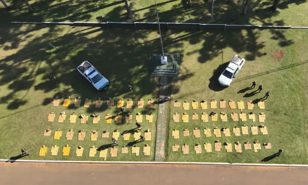 Descubren más de una tonelada de marihuana oculta en una finca