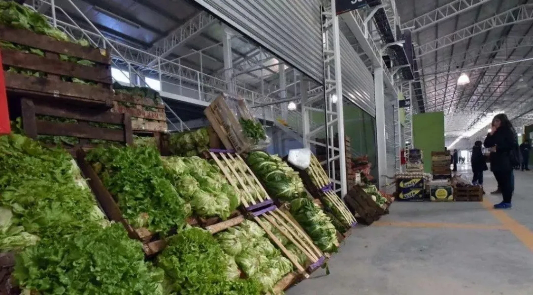 Verduras mercado central