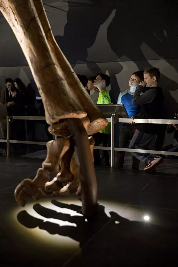 12507559_10207399616125389_5548915918262784280_n