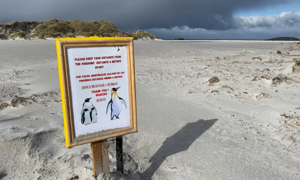 Pinguinera Malvinas