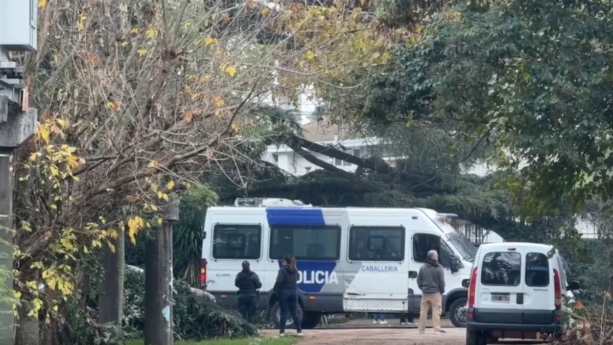 La Policía Científica en el lugar