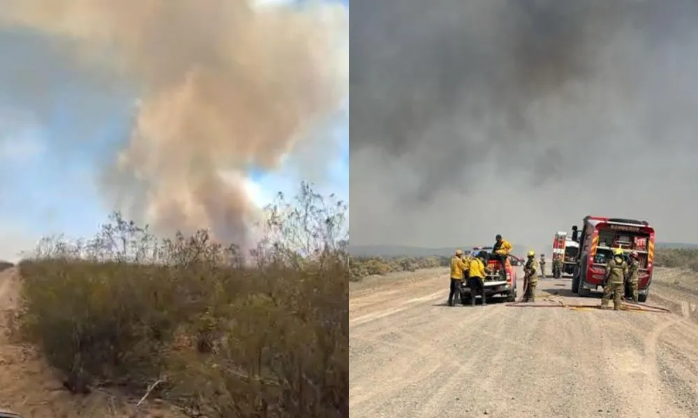 Incendio Trelew