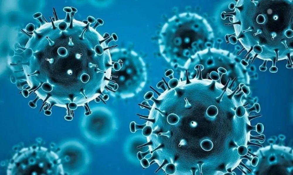 Virus
