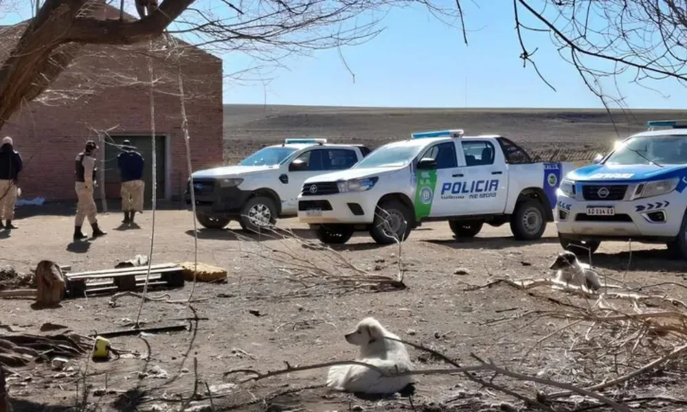 Abigeato foto LM Cipolletti