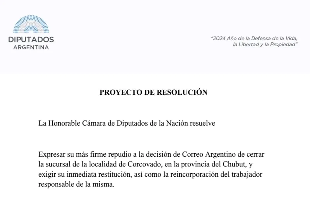 WhatsApp Image 2024-05-03 at 19.10.24