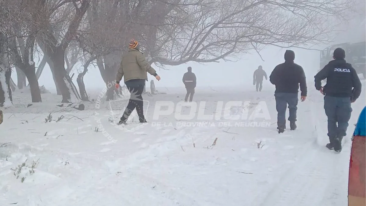 Adulto mayor aislado por la nieve en Neuquén