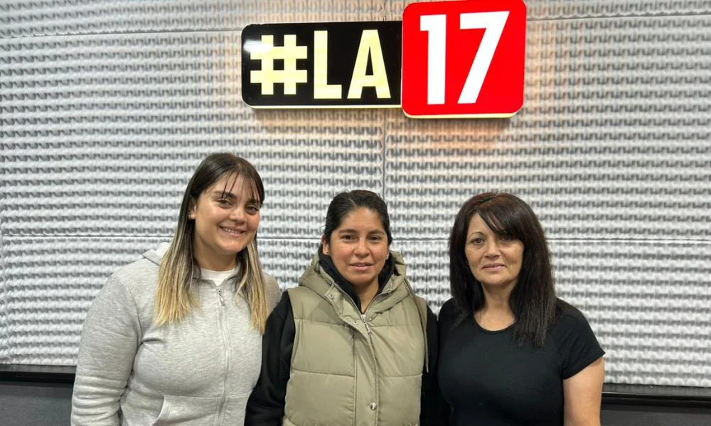 Setenta mujeres feriantes armaron una lista